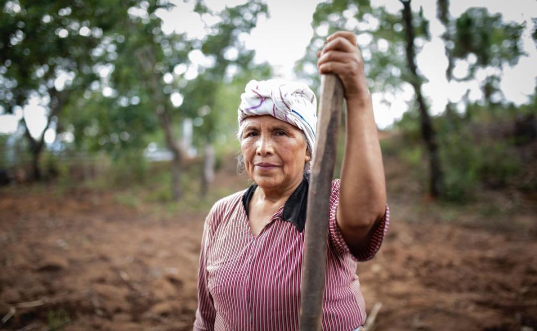 Siembra de la milpa: Mujeres ayuujk de Oaxaca preservan el ritual con una ofrenda a la Madre Tierra
