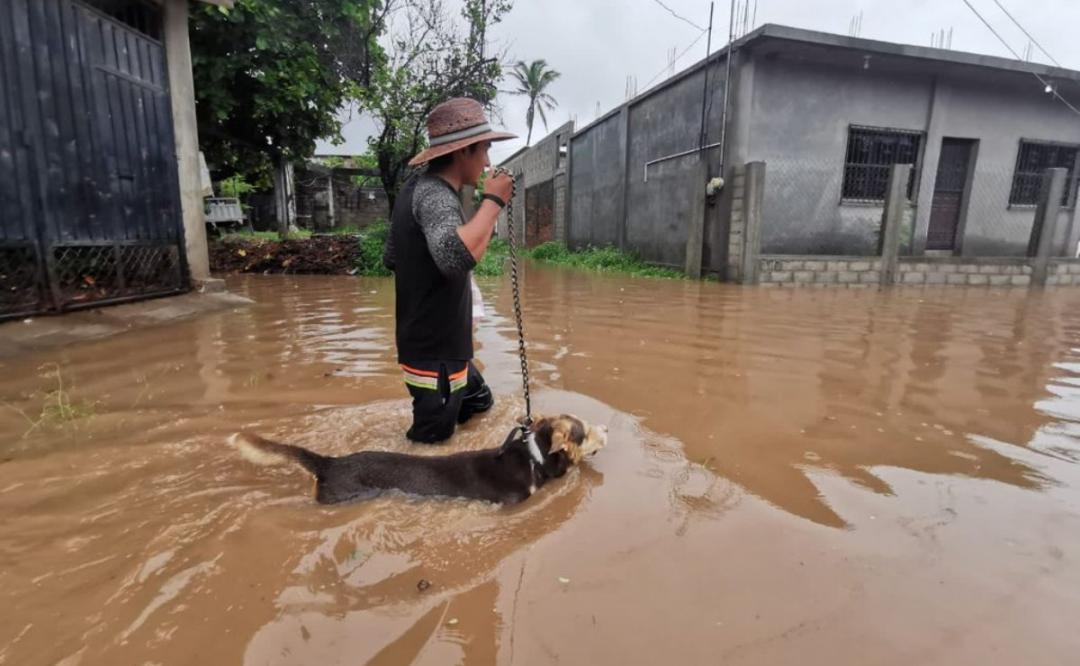 Desbordamiento del río Los Perros por lluvias afecta al menos a mil viviendas en Juchitán, Oaxaca