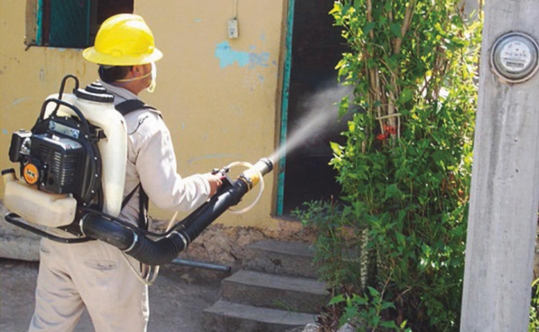 Además del Covid-19, en el Istmo de Oaxaca se enfrentan dengue y chicungunya
