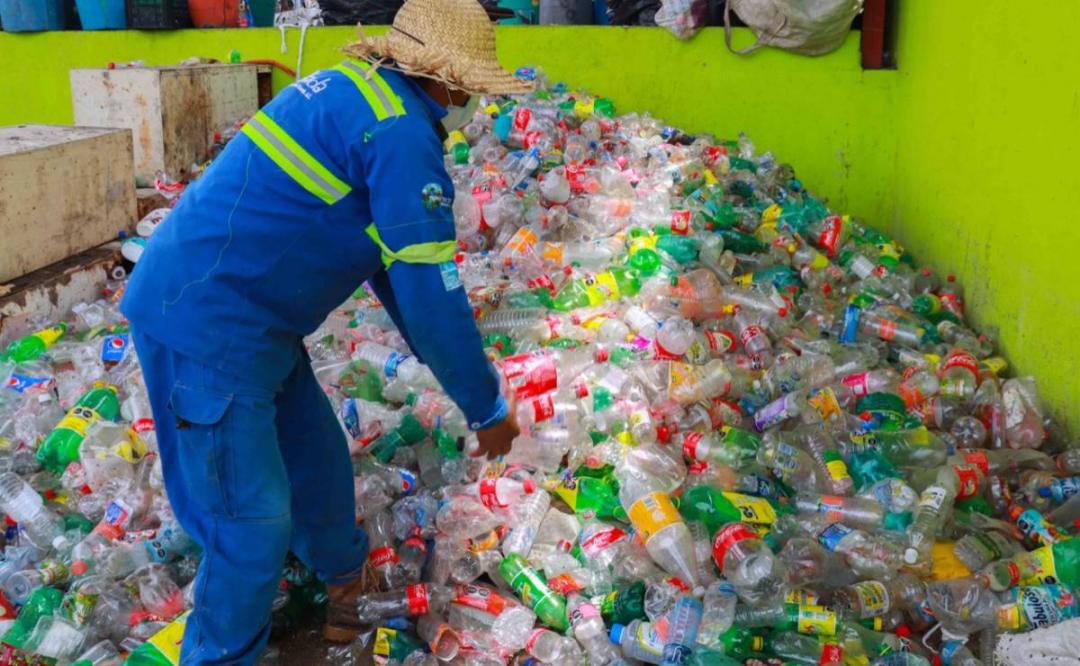 Reciclaje inclusivo, un proyecto que dignifica el trabajo de recolectores de residuos sólidos en Oaxaca