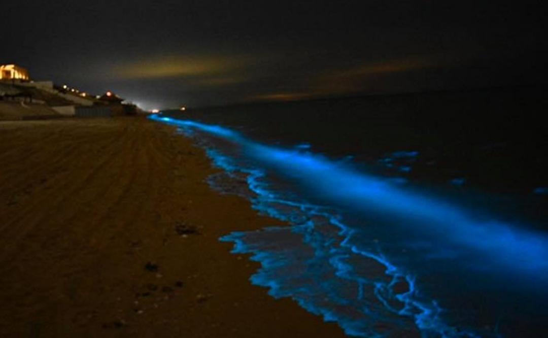 Dos lagunas de Oaxaca para apreciar el fenómeno de la bioluminiscencia