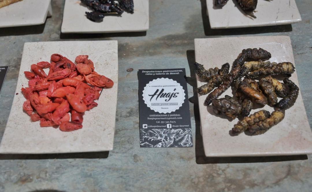 Se usan 26 variedades de insectos en la gastronomía de Oaxaca; destacan su valor nutricional