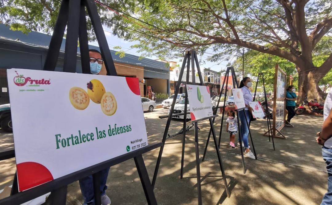 Buscan crear conciencia sobre la sana alimentación con exposición en Juchitán