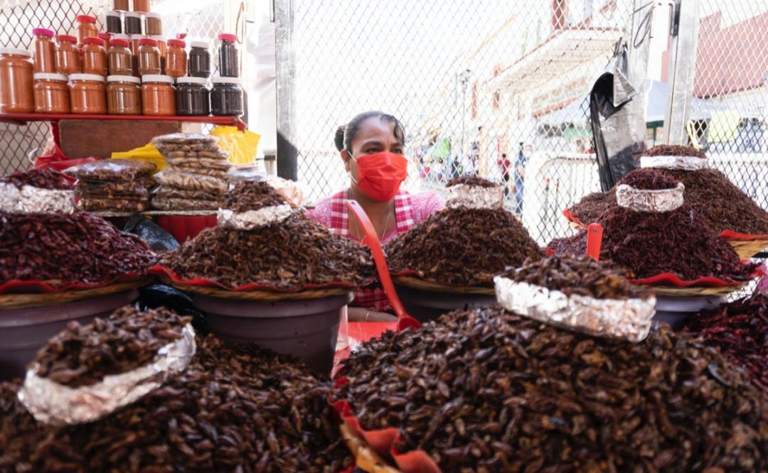 Incertidumbre: Aún con permisos, desplazan a 25 vendedoras de chapulines en Oaxaca y las dejan sin ventas
