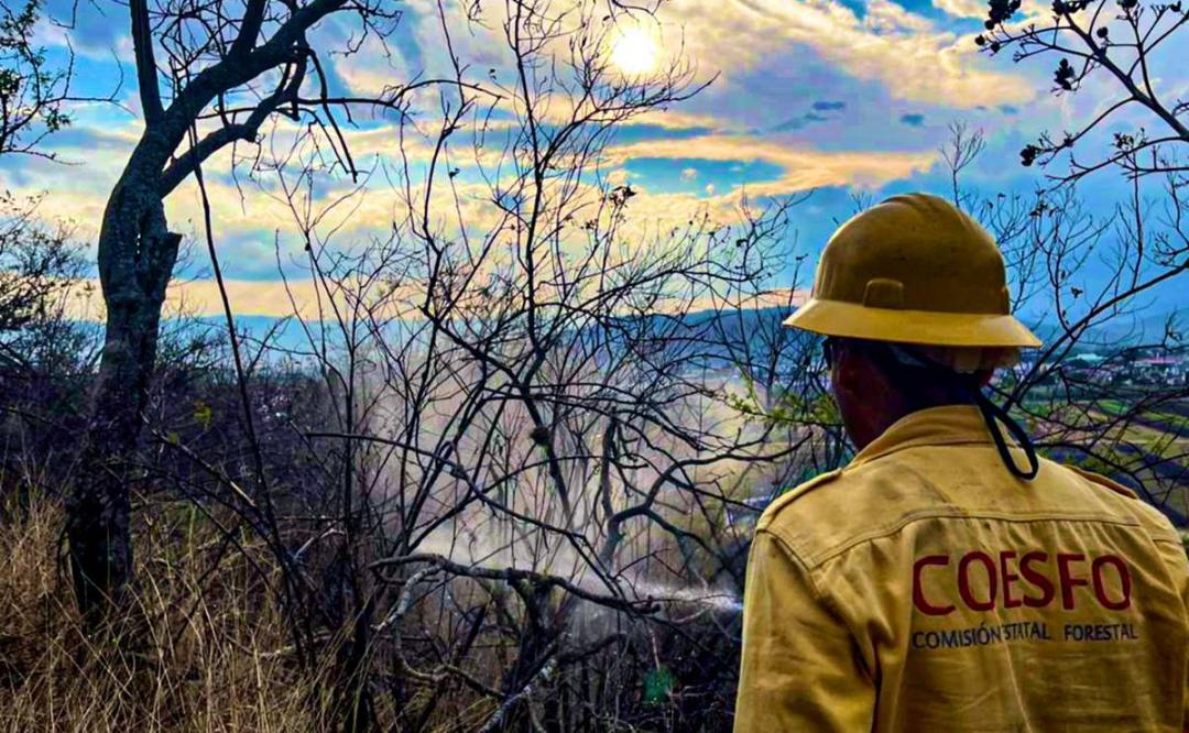 Registra Oaxaca 38 incendios en lo que va de 2022; tres continúan activos