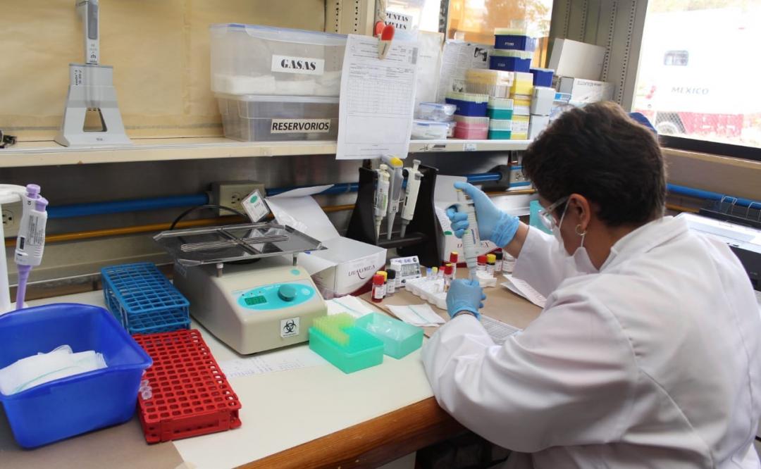 Menos de 10% de pruebas diarias por Covid-19 resultan positivas en Oaxaca; circulan 16 variantes