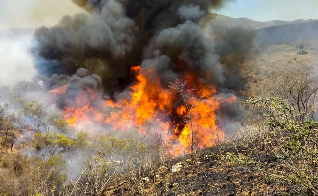 Reportan nuevo incendio forestal en San Miguel Chimalapas, Oaxaca; piden ayuda urgente