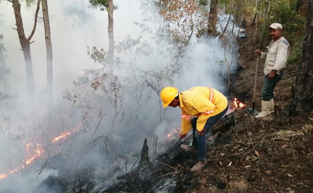 Piden ayuda a Conafor para combatir incendio que lleva 3 días activo en Los Chimalapas, Oaxaca