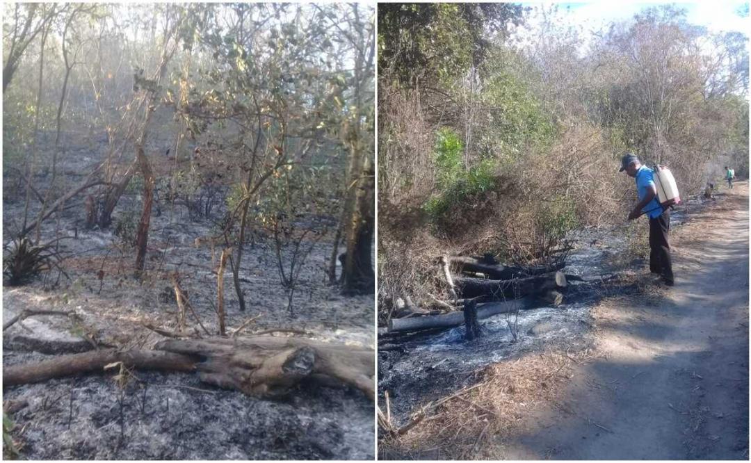 Chimalapas siguen esperando ayuda para sofocar fuego que afecta flora y fauna endémica