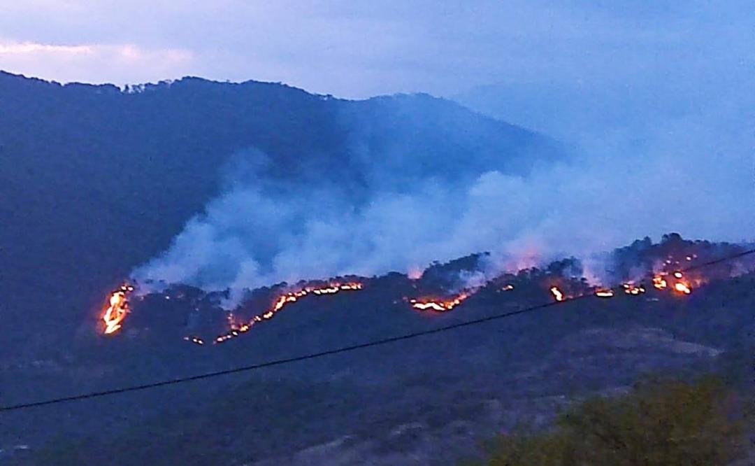 Urge Congreso de Oaxaca a establecer política pública emergente a favor de afectados por incendios