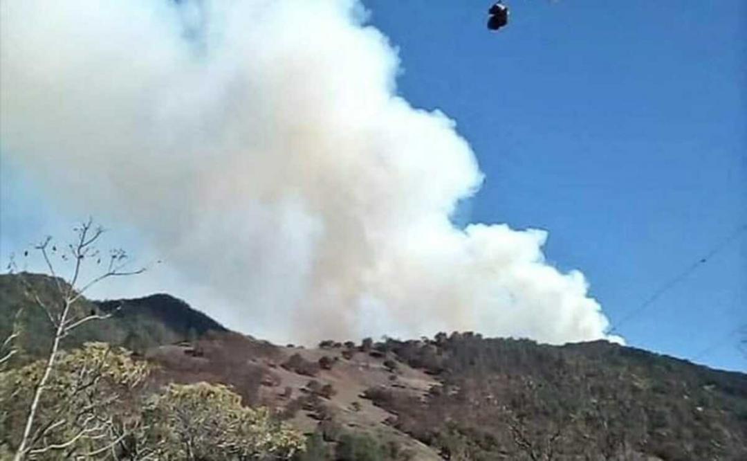 Activos, 6 incendios en Oaxaca; van 8 mil ha afectadas de enero a la fecha