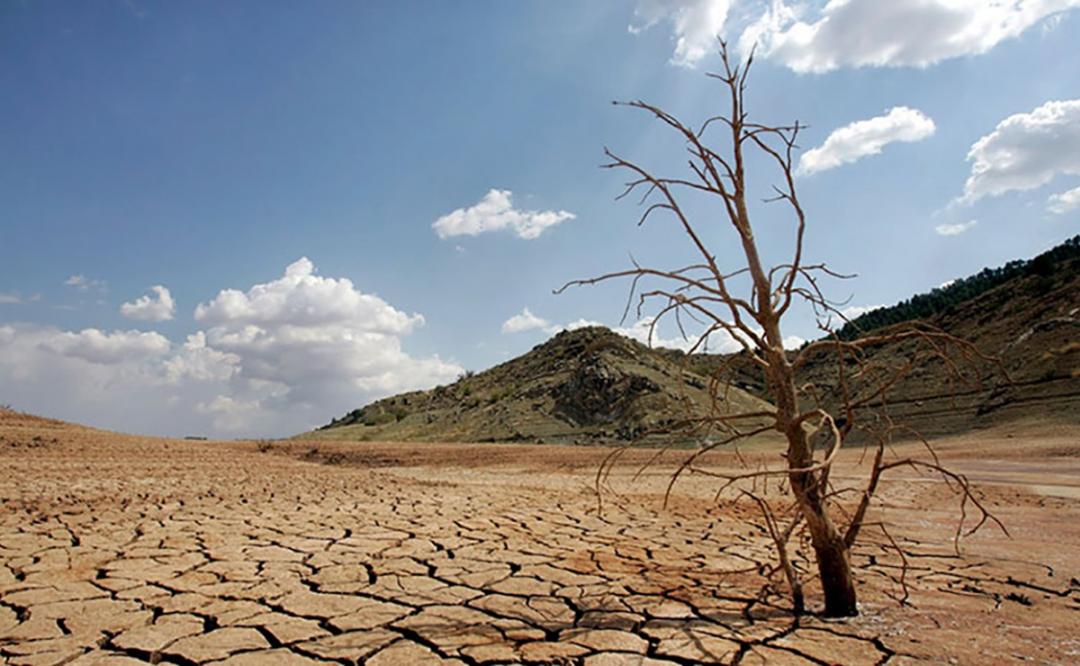 Severa, sequía en 5 municipios de Oaxaca, reporta Conagua; 111 registran sequía moderada