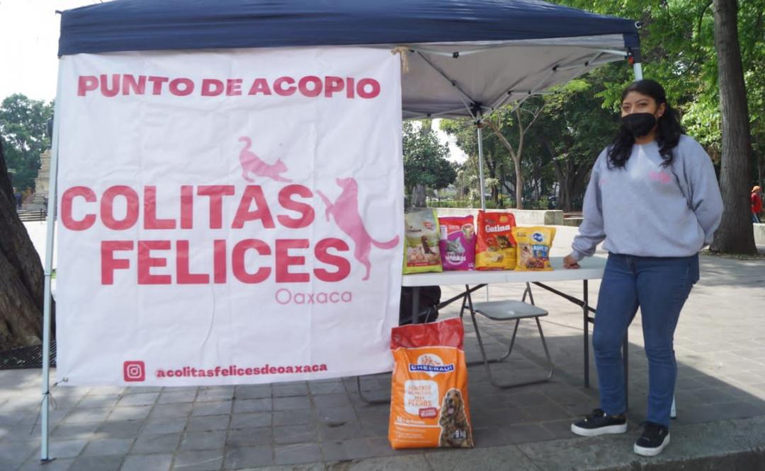 Así puedes ayudar a los animales afectados por el huracán Agatha en Oaxaca