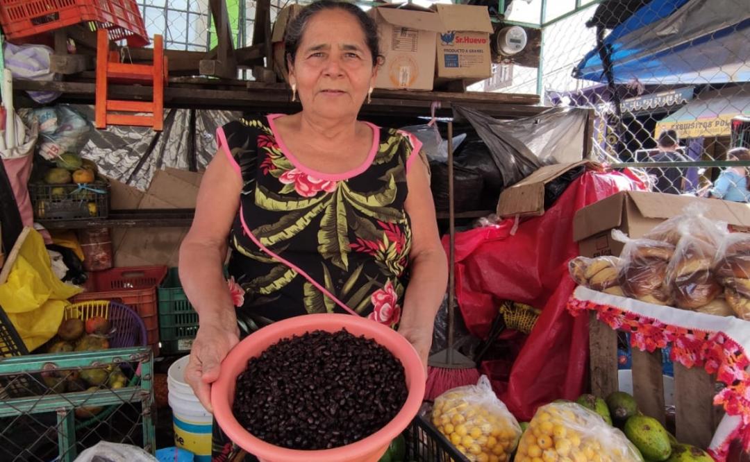 Chicatanas, manjar que en Oaxaca se disfruta sólo una vez al año; sube su costo en la Mixteca