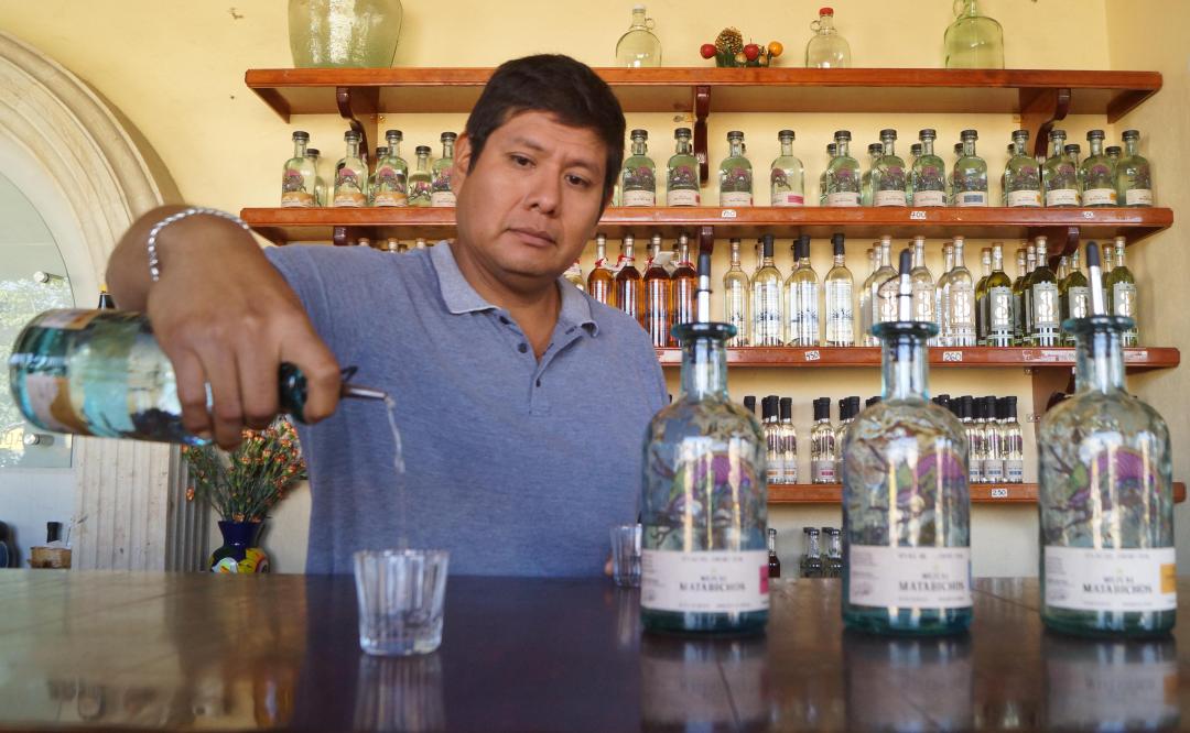 Mezcal artesanal, antídoto contra ecocidio; productores de Oaxaca "piden no caer en errores del tequila"