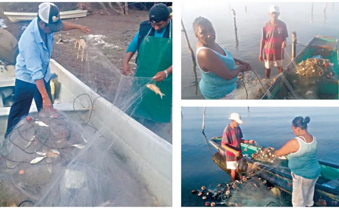 Más de 5 mil pescadores del Istmo de Oaxaca enfrentan la desaparición de lisas, curvinas y róbalos