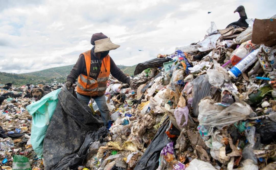 Más de 90 familias pepenadoras, las olvidadas en la crisis de la basura en la ciudad de Oaxaca