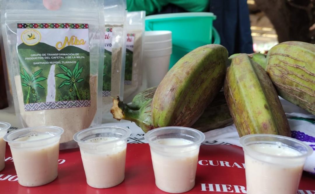 Producen harina de plátano en la Mixteca de Oaxaca, frente al alza de precio del maíz