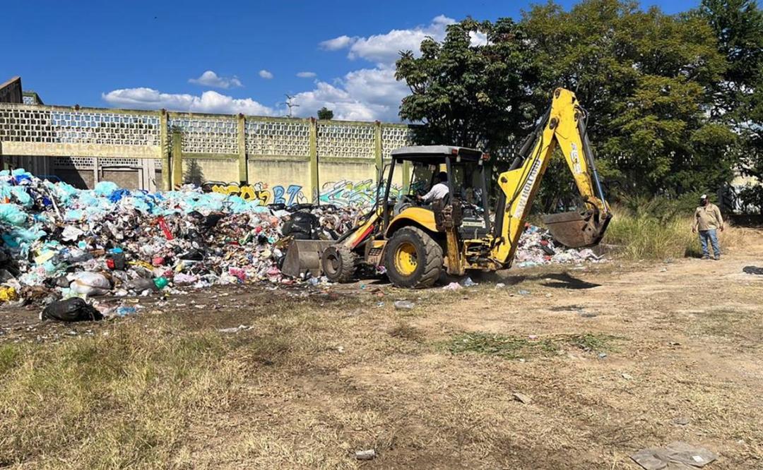 Rechazan vecinos uso de terreno de fábrica de triplay para tirar basura; municipio de Oaxaca retira desechos