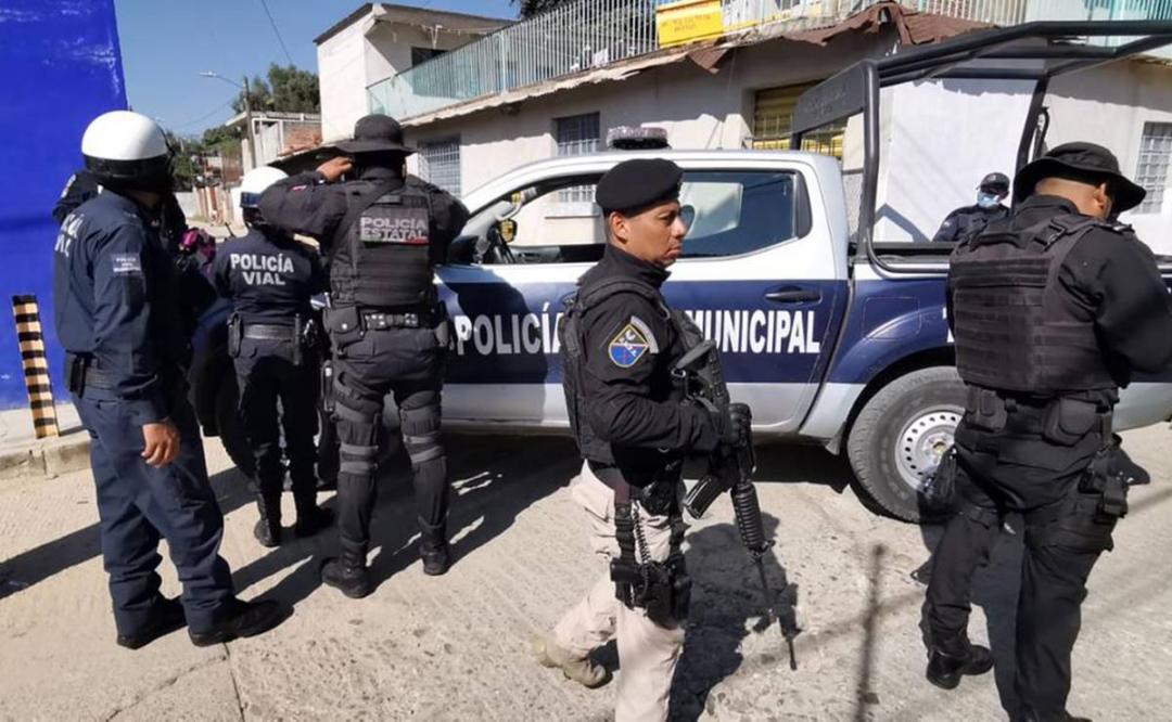 Tras reporte de perro con brazo humano en la ciudad de Oaxaca, hallan otras partes del cuerpo