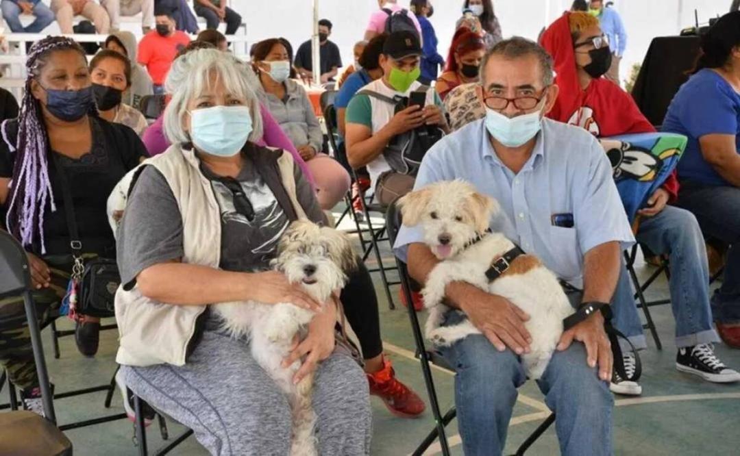Salud de Oaxaca aplica vacuna a 4 personas que tuvieron contacto con casos sospechosos de rabia