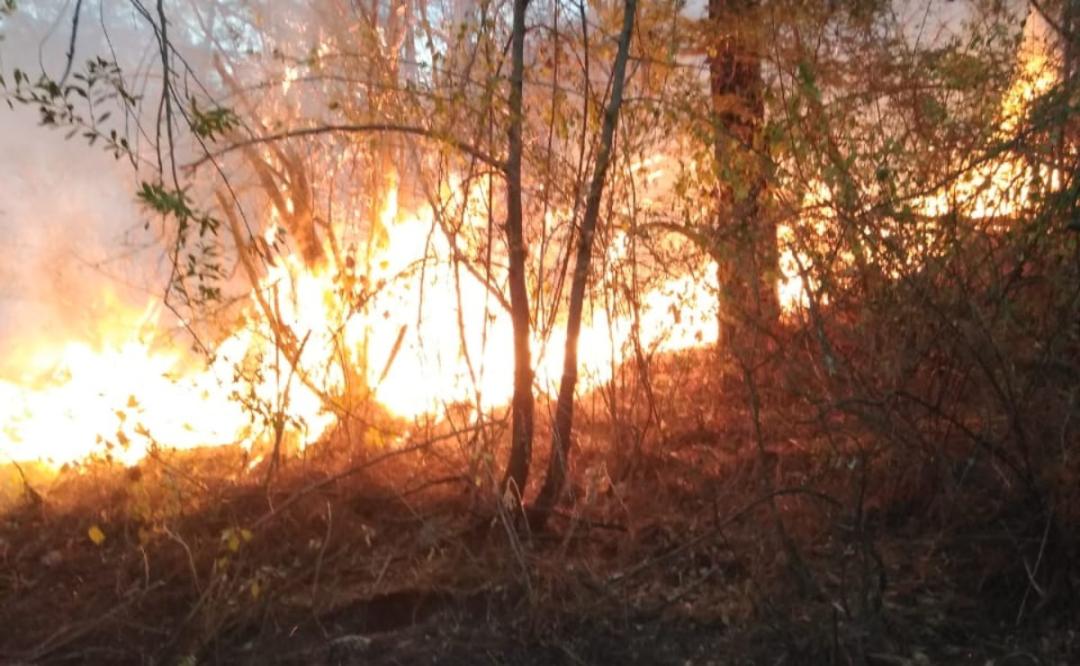 Mixtepec pide auxilio para sofocar incendio en bosques de la Mixteca de Oaxaca; acusa que fue provocado