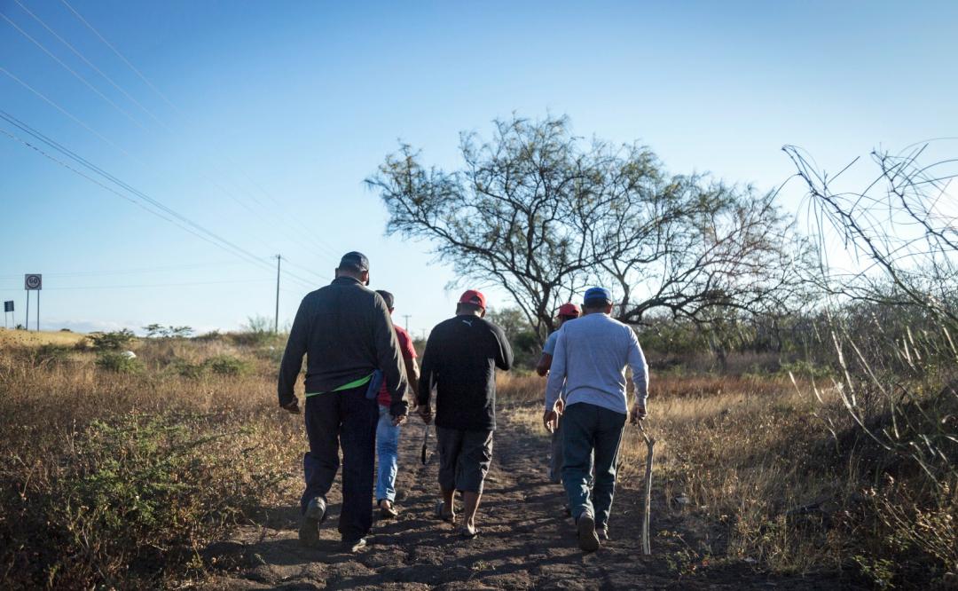 Alertan por 17 órdenes de aprehensión contra opositores indígenas a parque industrial del CIIT