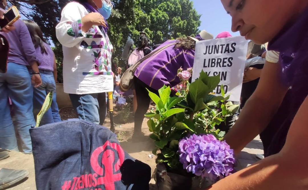 Con siembra de flores moradas en el Zócalo de Oaxaca, mujeres exigen que llegue justicia ante feminicidios