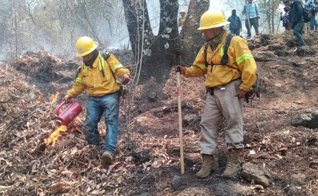 Brigadistas y comuneros combaten al menos siete incendios forestales en Oaxaca; 4 han sido liquidados