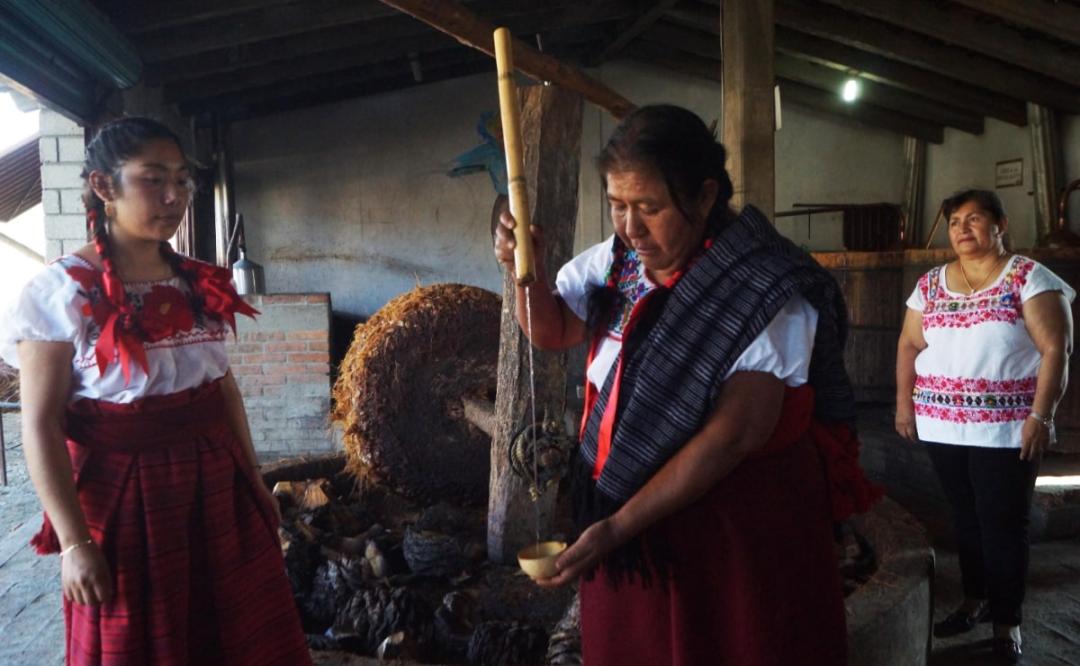 Celebrarán en Santiago Matatlán, Oaxaca, el nuevo Día Estatal de la Maestra y Maestro Mezcalero