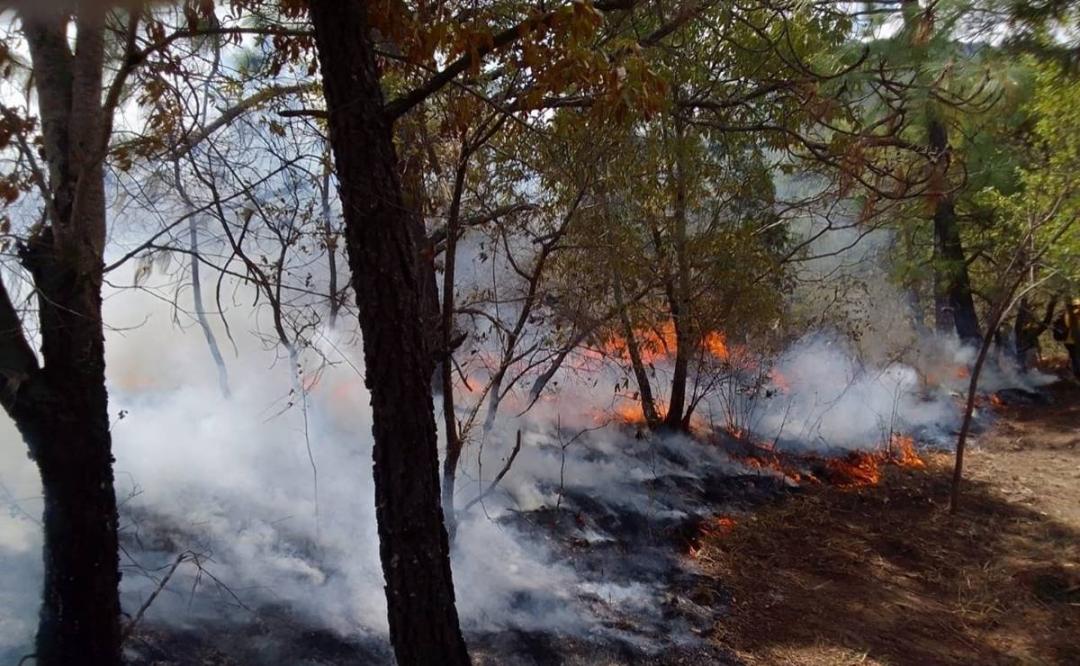 Oaxaca es el quinto estado más afectado por incendios forestales, reporta la Coesfo