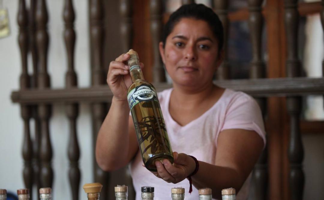 Compuestos, aguardiente de la Mixteca de Oaxaca con recetas ancestrales “para curar todo mal”