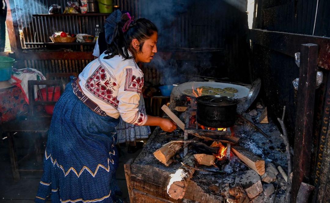 Leche con tuna, 5 años de periodismo sobre la identidad y la esencia de la gastronomía de Oaxaca