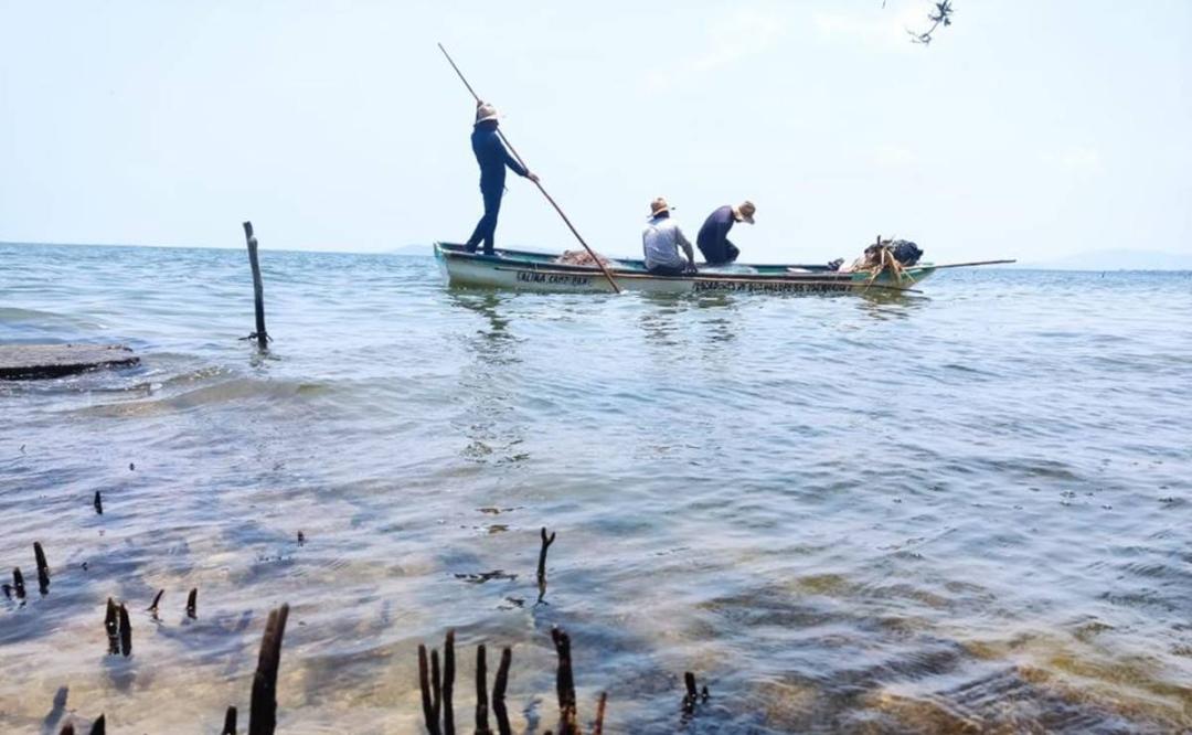 Alerta muerte de peces en lagunas del Istmo de Oaxaca; pescadores piden indagar si es por calor