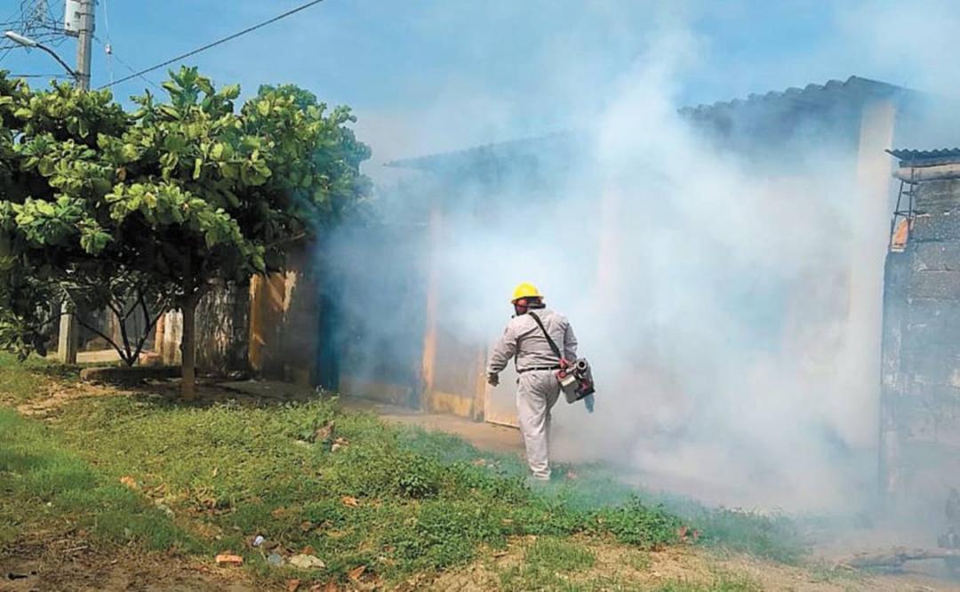 Insecticida caduco aún servía contra mosco del dengue, se usó por austeridad: gobierno de Oaxaca