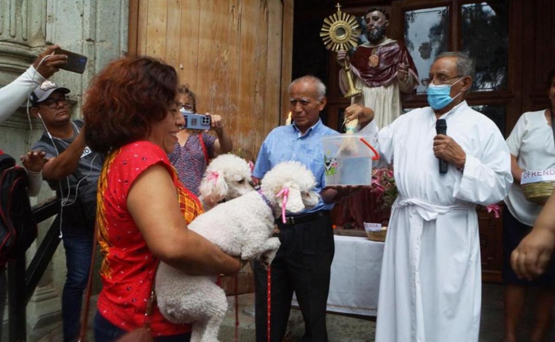 Fieles católicos de Oaxaca llevan a lomitos y michis a ser bendecidos en el día de San Ramón Nonato