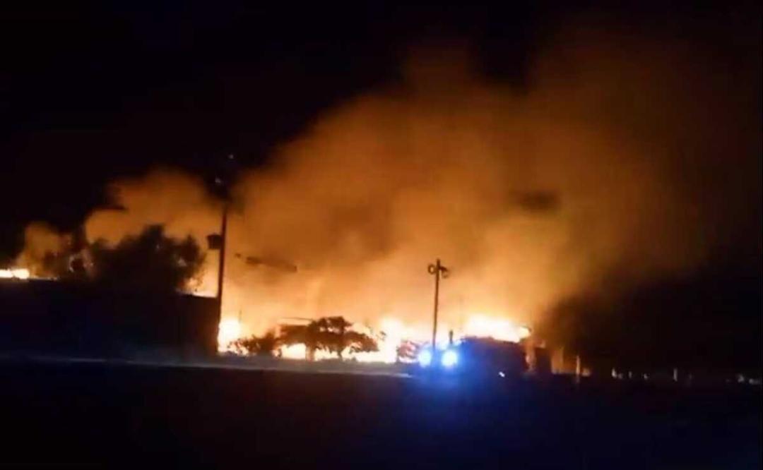 VIDEO. Incendio consume zoológico Jaguar Xoo en Oaxaca; autoridades de Tlacolula reportan graves daños