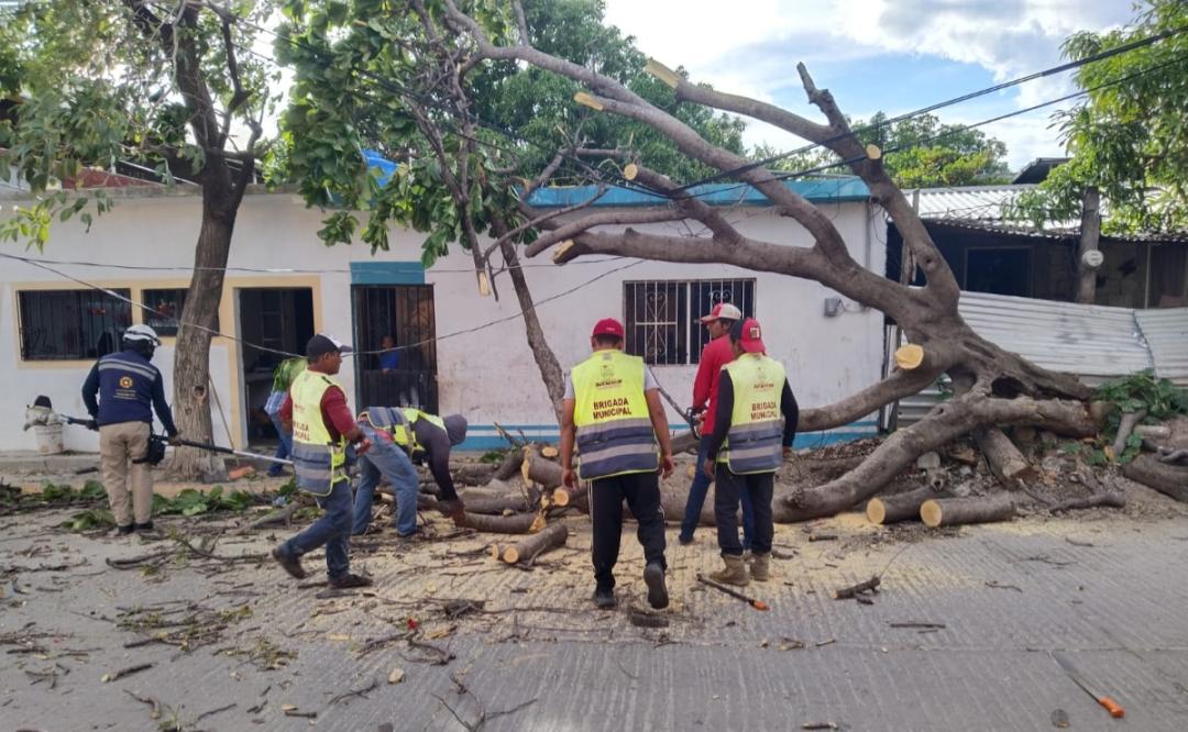 Causan vientos del frente frío número ocho daños en tres municipios del Istmo, en Oaxaca