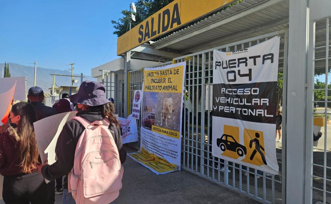 Activistas y lomitos protestan en la Urse para exigir justicia para Coco, perrito atropellado en Oaxaca