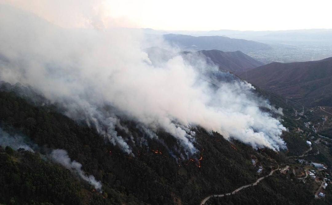 Más de mil personas combaten incendio que ha devorado 100 hectáreas de bosque en Oaxaca