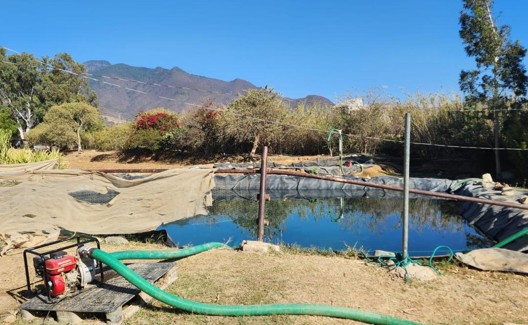 En medio de crisis hídrica en Oaxaca, aseguran pipas y detienen a 4 por despojo de aguas