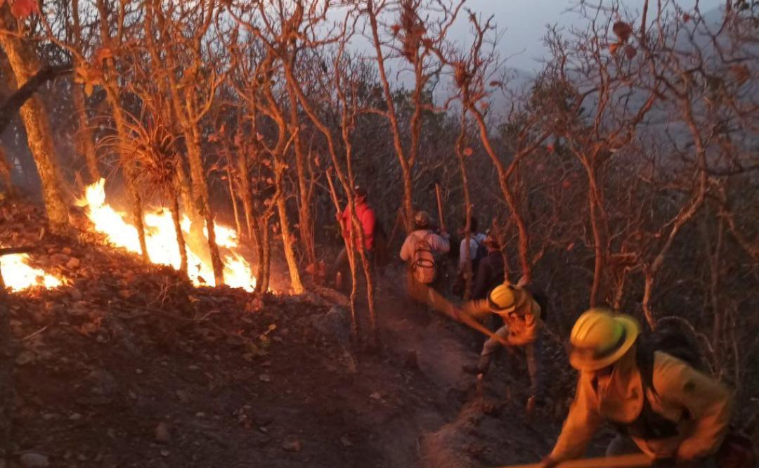 Declaran liquidado incendio forestal en Quiaviní que causó muerte de 5 comuneros en Oaxaca