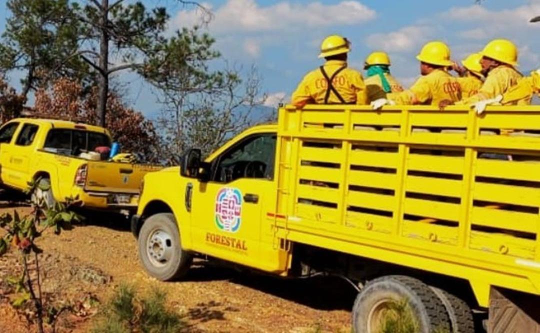 Reportan nuevo incendio forestal en Tilantongo, en la Mixteca de Oaxaca; Coesfo moviliza brigada