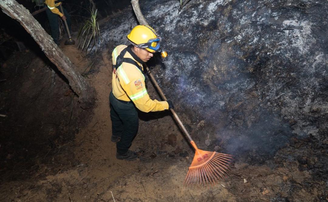 Atienden incendio forestal en San Martín Peras, en la Mixteca de Oaxaca