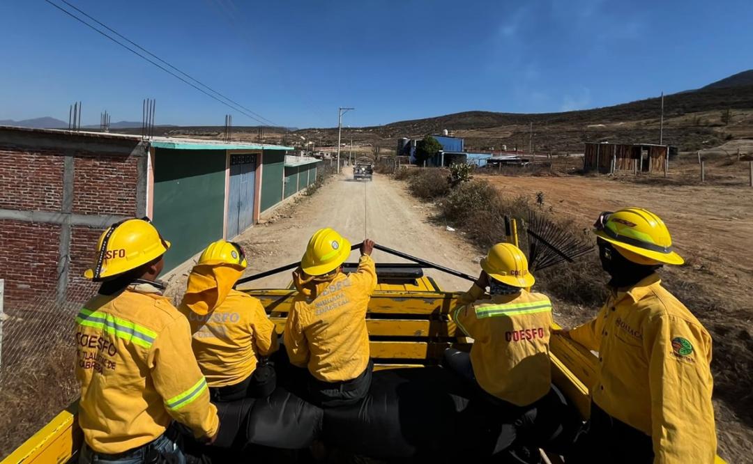 Reportan atención a incendio forestal registrado en San Juan Chapultepec, Oaxaca