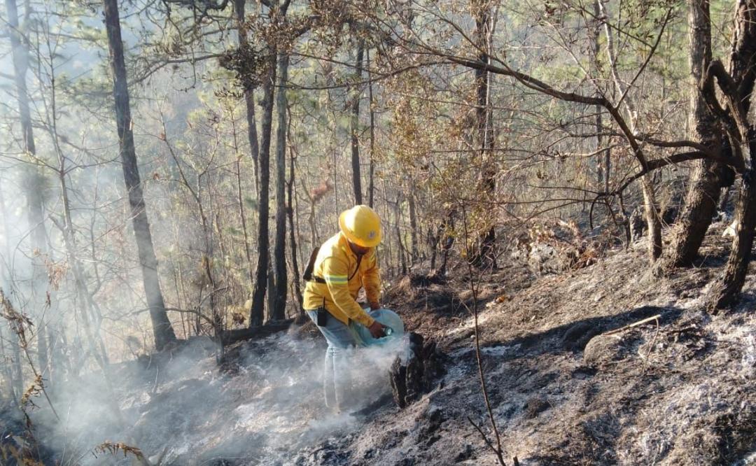 Controlan incendio en bosques de Ayutla, en la Sierra Norte de Oaxaca