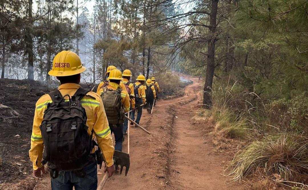 Se suma Sedena y Guardia Nacional a combate de incendio en Quiotepec, en la Sierra Norte de Oaxaca