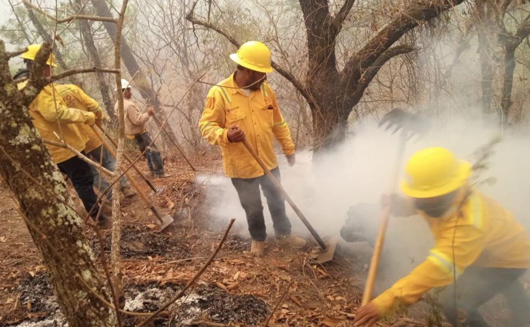 Se reactiva incendio en San Juan Quiotepec, Oaxaca; combatientes llegan a sofocar el fuego