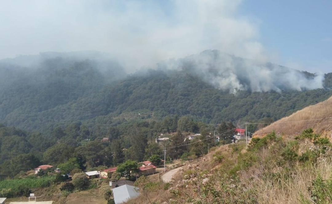 Familias triquis piden auxilio ante incendio en zona de conflicto que lleva 5 días en la Mixteca de Oaxaca