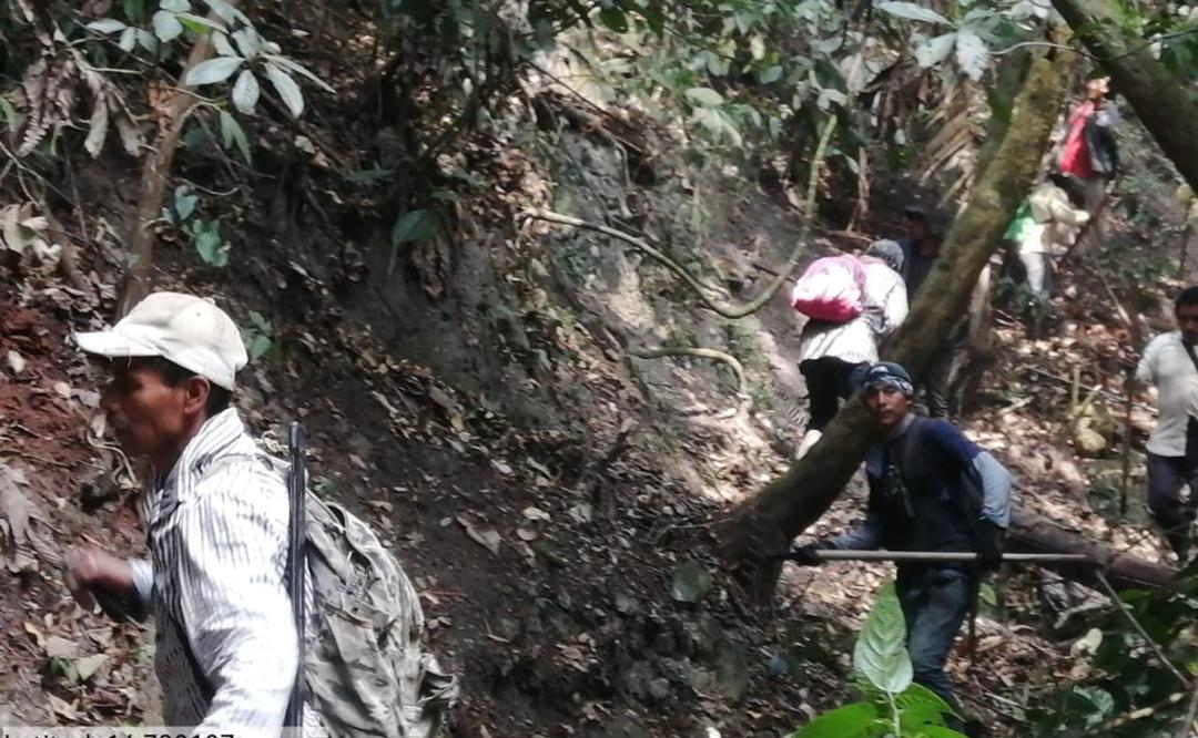Suspenden apertura de brecha para combatir incendio forestal en Los Chimalapas, Oaxaca; luchan por tierra